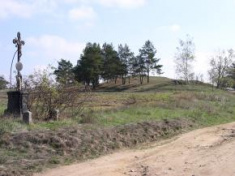 Trnava - přírodní rezervace Kobylinec